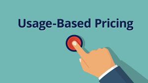 Pros And Cons Of Subscription-Based Payment Models