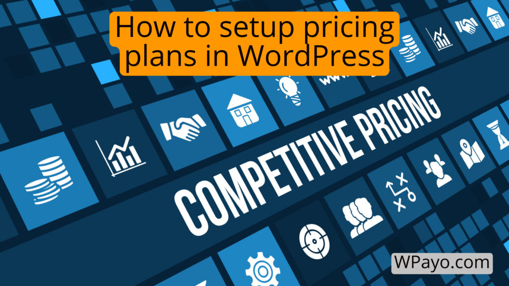 Payment plan options displayed on a pricing page
