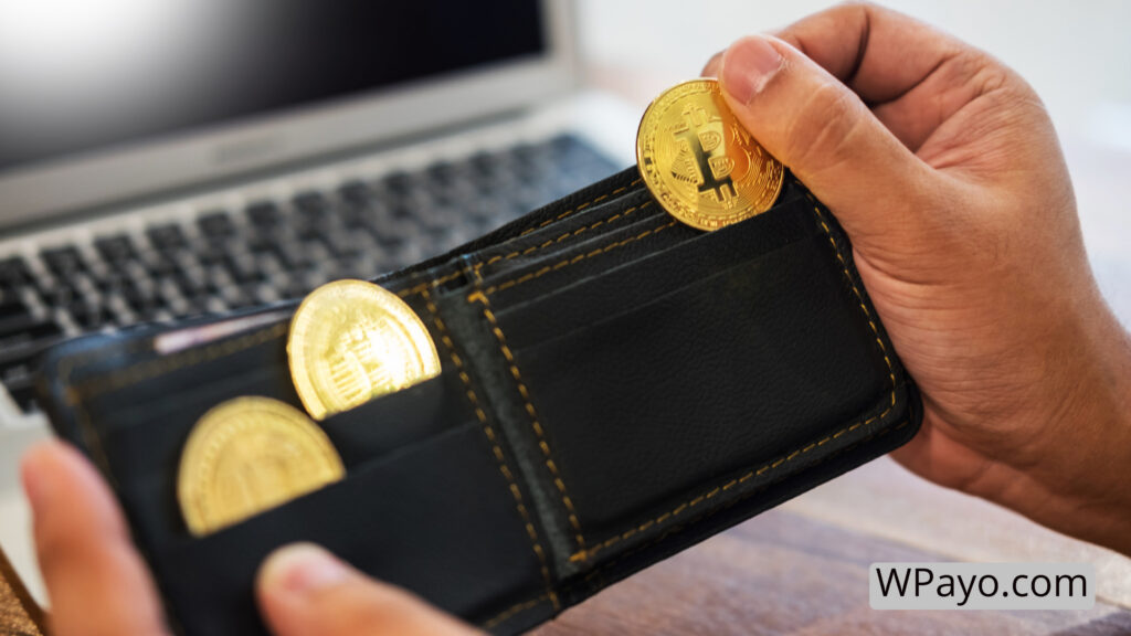 GoUrl Bitcoin and Altcoin payment gateway for WordPress sites