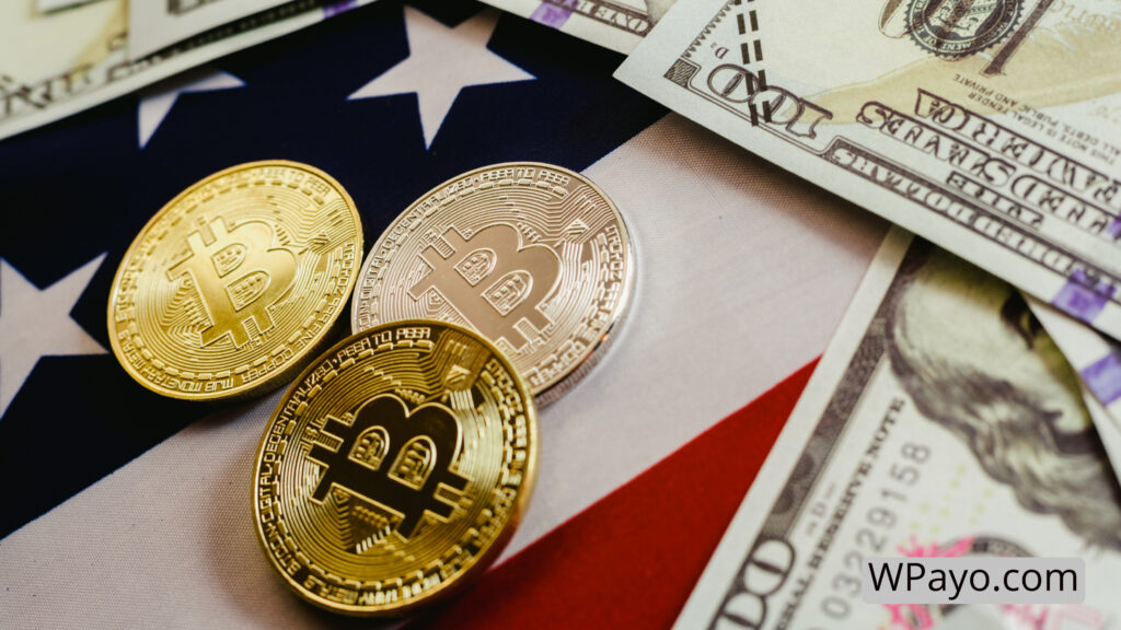 Bitcoin payment option shown on a website checkout