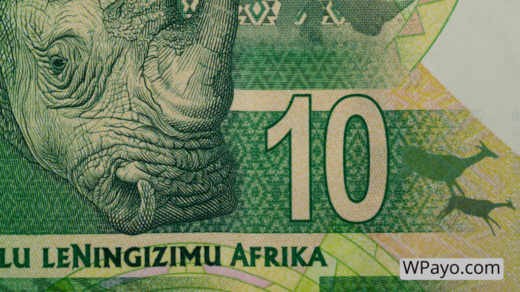 Payment gateway options for South African businesses